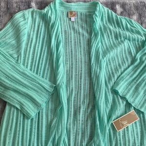 JM Collection Knit Sweater in Mint Tint | Size 3X